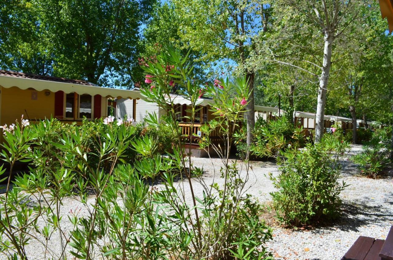 Hébergement de vacances Chalet In Toskana Italie Nabij Zee, Strand, Airconditioning, Zwembad, Wifi